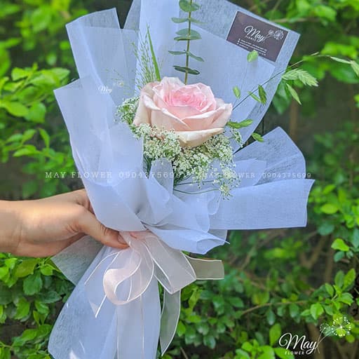 Hồng hồng thumbnail 2